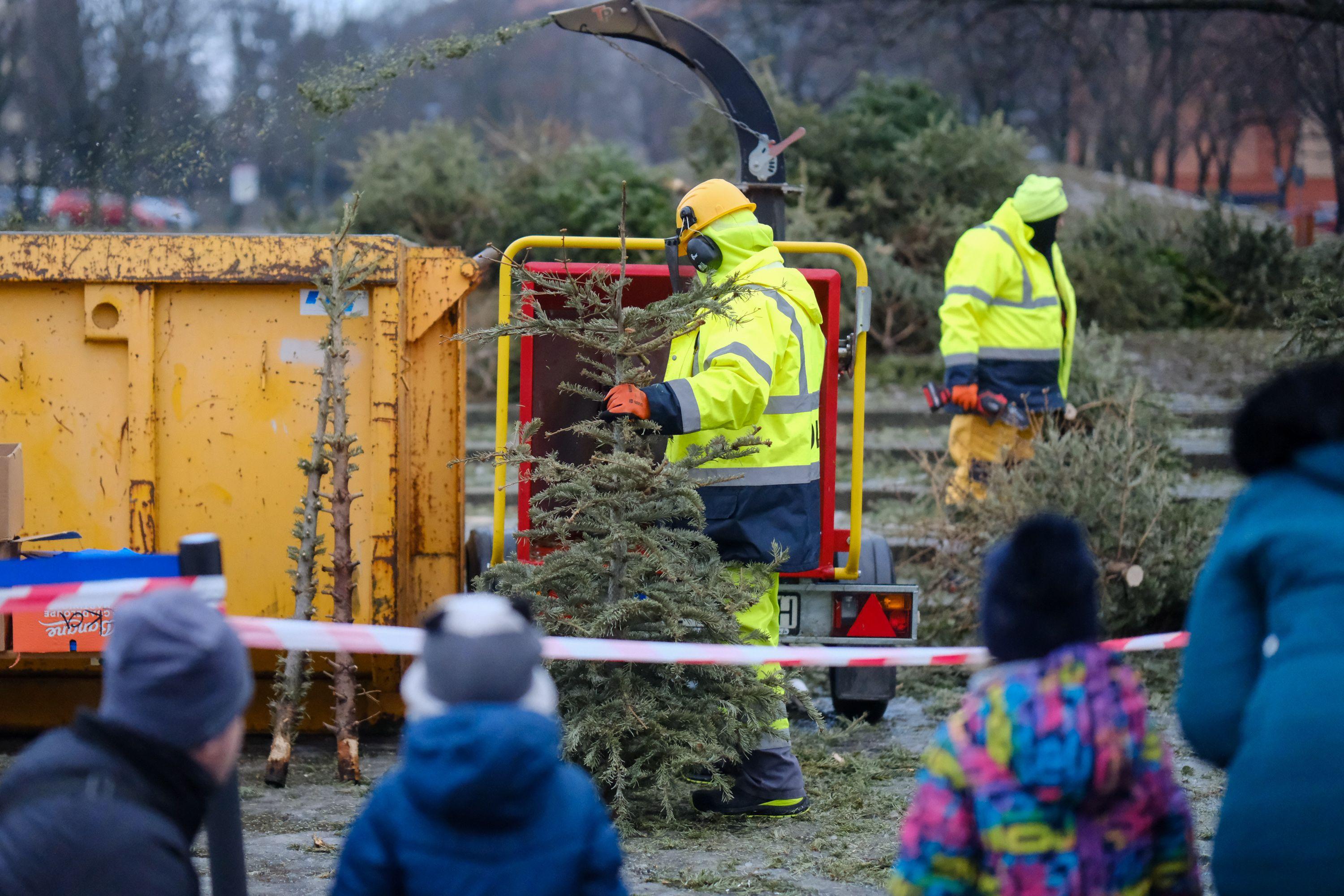 Mulčovačka v Dúbravke